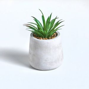 Plante Artificielle Et Pot En Ciment - Blancheporte - Couleur Cache pot et plantes artificielles - Taille Unit&eacute;