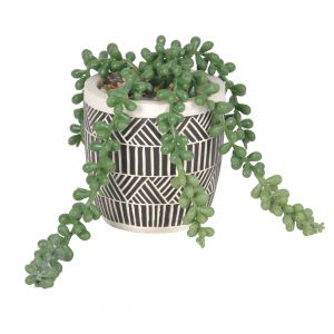 Plante Artificielle Et Pot En Ciment - Blancheporte - Couleur Cache pot et plantes artificielles - Taille Taille Unique