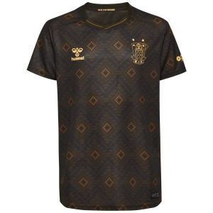 Br&oslash;ndby IF 3&egrave;me Maillot 2025/26 Enfant - Hummel, pointure 164 cm - ['Marron'] - Taille 164 cm