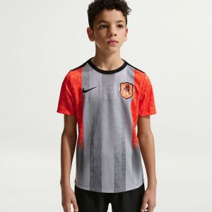 Chelsea T-shirt d'Entra&icirc;nement Dri-FIT Academy Pro Avant-Match SE - Gris/Orange/Bleu Enfant - Nike, pointure M: 137-147 cm - ['Gris'] - Taille M: 137-147 cm