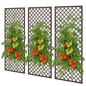 Outsunny Lot de 3 Treillis de jardin en osier tiss&eacute; Panneau rectangulaire pour Plantes grimpantes 43 x 2 x 112 cm, effet bois naturel