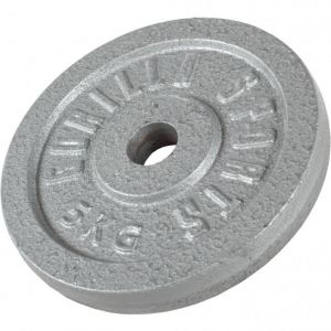 Disque de poids en fonte 30/31 mm Argent / 5 KG Gorilla Sports