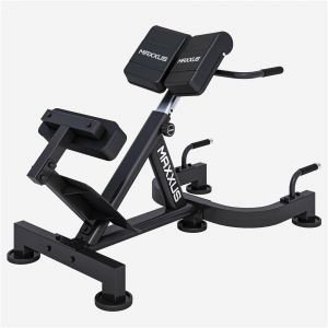 Poste d'hyperextension professionnel Maxxus