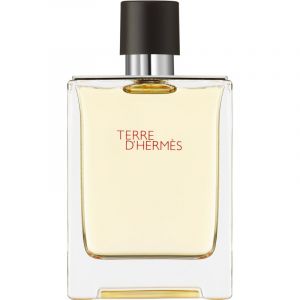 HERMÈS Terre d’Hermès Eau de Toilette pour homme 100 ml