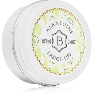 Benamôr Alantoíne Bálsamo Lábios baume à lèvres 12 ml