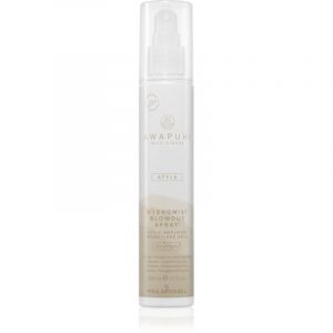 Paul Mitchell Awapuhi Wild Ginger HydroMist Blowout Spray spray fixateur pour un volume parfait 150 ml