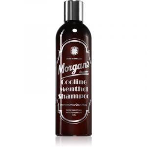 Morgan's Cooling Menthol Shampoo shampooing &eacute;nergisant cheveux et cuir chevelu &agrave; la menthe pour homme 250 ml