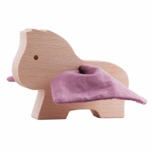 P&eacute;gase - Orchid&eacute;e