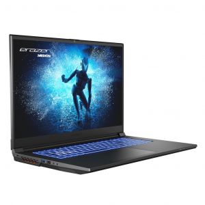 Medion ERAZER DEFENDER P40 17" Core i7 1.1 GHz - SSD 1 TB - 16 Go - Nvidia GeForce RTX 4060 AZERTY - Français - Reconditionné