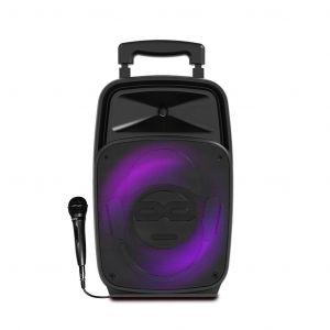 Enceinte Bluetooth Idance 220 Bass REFLEX - Noir - Reconditionné