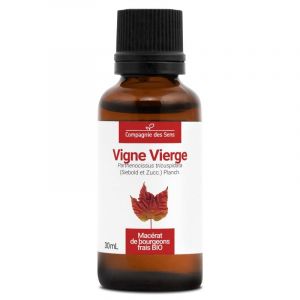 Vigne vierge bio - 30ml (parthenocissus tricuspidata) &ndash; mac&eacute;rat concentr&eacute; de bou