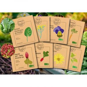 Lot de graines potag&egrave;res anti-gaspi - sp&eacute;cial automne