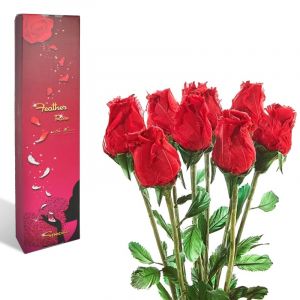 Coffret de 9 roses eternelles fishtec parfum&eacute;es - cadeau pour femme et fete