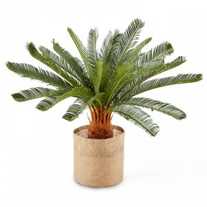 Cycas artificiel en pot hauteur 65 cm