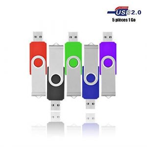 VIEKUU Cl&eacute; USB 2.0 1 GO Lot de 5 Pi&egrave;ces pour Ordianteur, T&eacute;l&eacute;vision, Automobile (Multi-Couleur Noir Bleu Vert Rouge Violet)