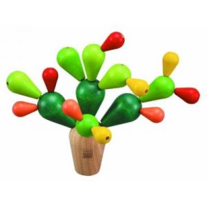PLANTOYS - PT4101 - JOUET EN BOIS - MIKADO CACTUS