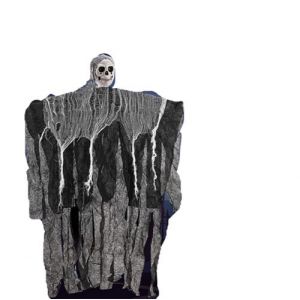 T&ecirc;te de mort &agrave; suspendre D&eacute;coration d'Halloween Noir/Blanc 50 x90 cm