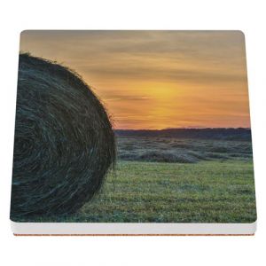 Sous Verre C&eacute;ramique (1 unit&eacute;) - Fabulous - Milan Royal Aigle Magnifique (100 x 100 mm)