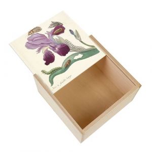 Boite Coffret en Bois - Fabulous - Iris Papillons Chenilles Illustration Botanique (11 x 11 x 3,5 cm)