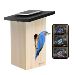 Lite Nichoir Connecté Birdfy Ebony avec Panneau Solaire, Caméra et Reconnaissance d'Oiseau par IA
