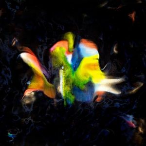 Contrebande 02 Le disque de l'&eacute;t&eacute;