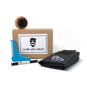 SHOP-STORY - La box au(x) poil(s) inclut peigne à barbe + brosse à barbe + tablier de barbier + stylo de croissance pour barbe