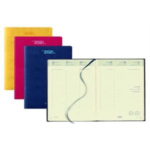 Agenda brepols colora timing - année 2023- 17,1 x 22 cm - assorties - brepols