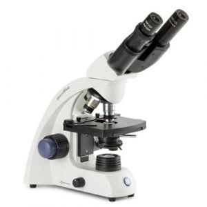 Euromex - microscope binoculaire microblue- platine x-y - 4x/10x/40x/100x