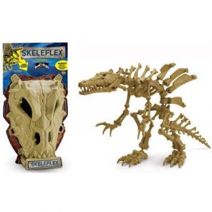Skeleflex - Cr&acirc;ne de dinosaure : Spinosaure