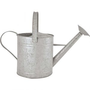Esschert's Garden - Arrosoir en zinc patiné Hove 3.5 litres