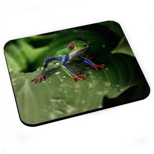 Tapis de souris Grenouille exotique multicolor magnifique photo gros plan