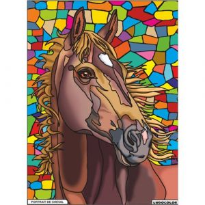 Coloriage - Cheval - Tableau &agrave; colorier - Avec contours velours noir - D&egrave;s 3 ans