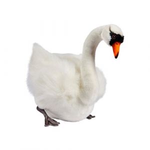 Anima peluches - peluche cygne blanc 27 cm