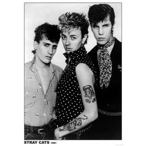 STRAY CATS - 1981 - 59x84cm - Affiche