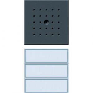 GIRA 126167 Interphone vidéo 3 boutons Anthracite