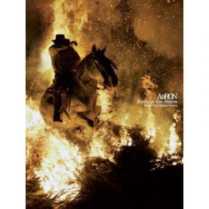 Partitions vari&eacute;t&eacute;, pop, rock... PAUL BEUSCHER PUBLICATIONS AARON - BIRDS IN STORM - PVG TAB Piano voix guitare tablatures