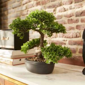 Emerald Mini Bonsaï Ficus Artificiel Décoration d'Intérieur Vert 32 cm 420002 414503