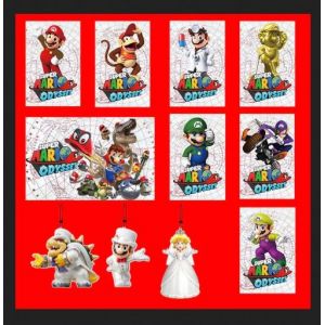 Carte d'impression de carte Amiibo NFC pour Super Mario Odyssey-10PCS