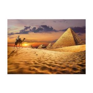 Puzzle 1000 pieces chameau au coucher du soleil dans le desert - collection adultes paysage - set puzzle passion et carte animaux