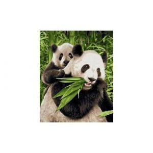 Schipper - 609240712 - Les pandas
