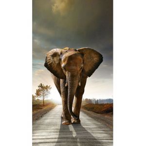 Elephant, rideau imprimé 140x245 cm, 1 part