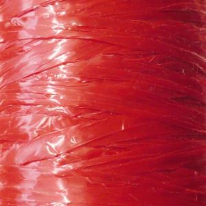 Raphia synthétique rouge 125 g - graine créative