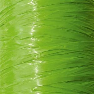 Raphia synthétique vert vif 40 g - graine créative