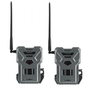 spypoint - pack de 2 pièges photos spypoint flex dark