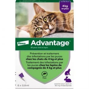 ADVANTAGE Solution Antipuce Chat Lapin 4kg 6 pipettes