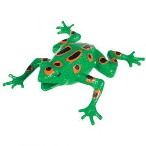 Jouet Squishimals Grenouille