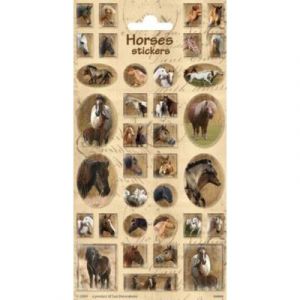 Stickers planche de cheval sundeco