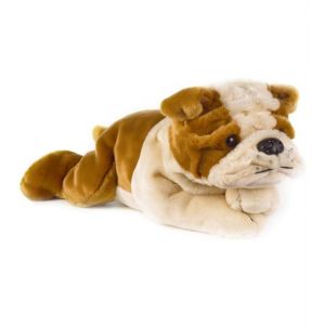 Bulldog Allong&eacute; RINGHIO 40 cm