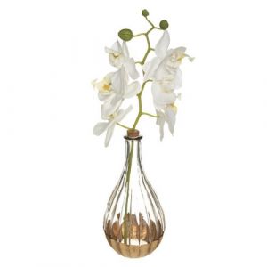 composition 40cm orchidée dans vase - jja 179207