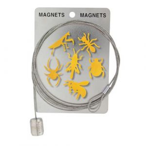 Câble porte photos et magnets - Magnetic Cable Insecte Or - Pylones